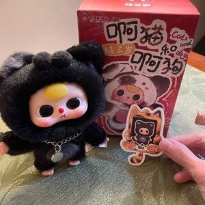 Baby Three Black Cat with Box.